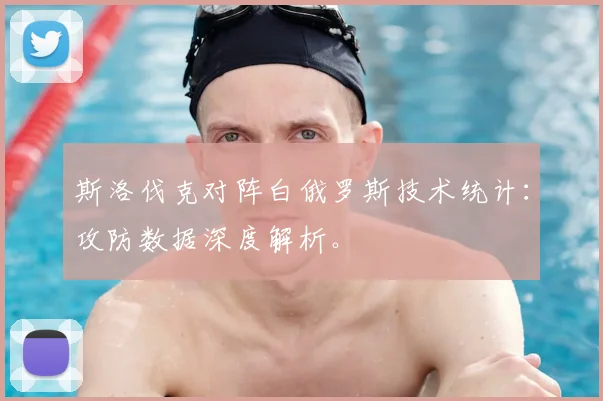 斯洛伐克对阵白俄罗斯技术统计：攻防数据深度解析。