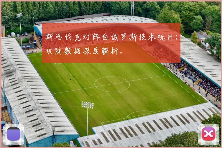 斯洛伐克对阵白俄罗斯技术统计：攻防数据深度解析。